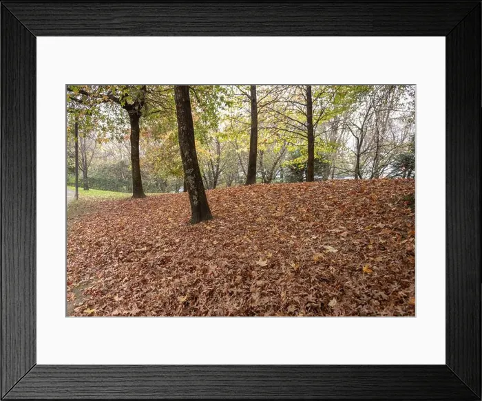 Framed Print : 2yt6xc9 Framed Print : 2yt6xc9