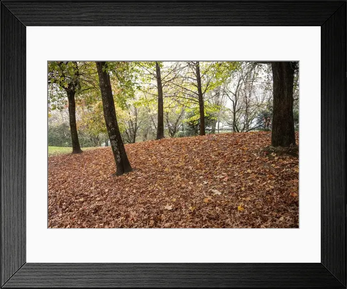 Framed Print : 2yt6xcd Framed Print : 2yt6xcd