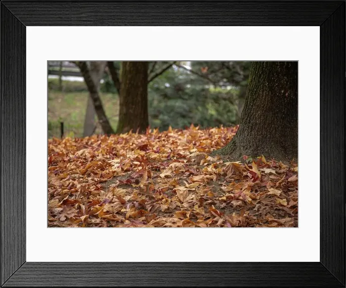 Framed Print : 2yt6xpc Framed Print : 2yt6xpc