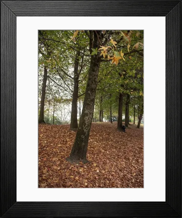 Framed Print : 2yt6xpr Framed Print : 2yt6xpr
