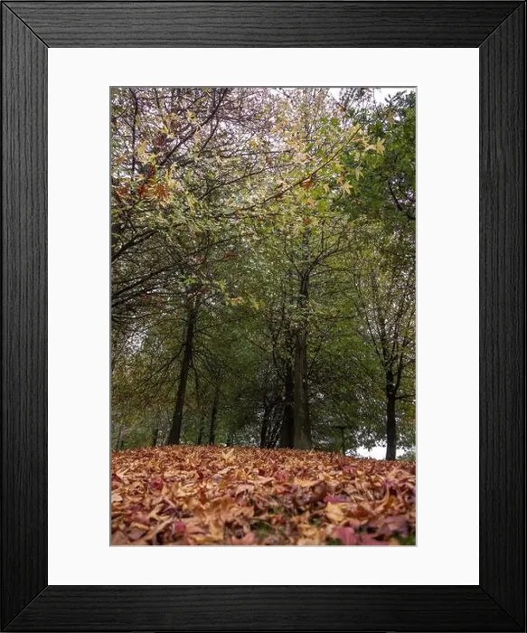 Framed Print : 2yt6xr7 Framed Print : 2yt6xr7