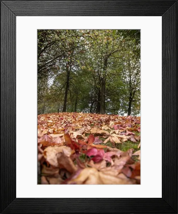 Framed Print : 2yt6xre Framed Print : 2yt6xre