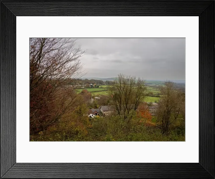Framed Print : 2yt8294 Framed Print : 2yt8294