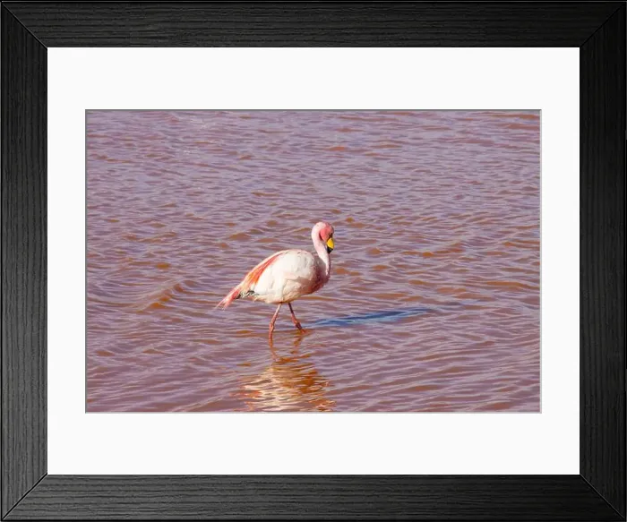 Framed Print : 2yt82jt Framed Print : 2yt82jt