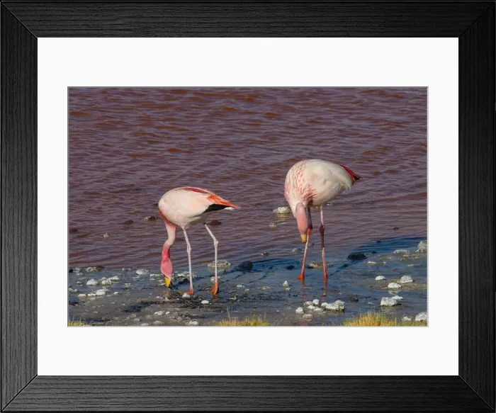 Framed Print : 2yt82tx Framed Print : 2yt82tx