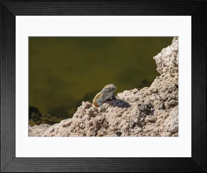 Framed Print : 2yt8kbk Framed Print : 2yt8kbk