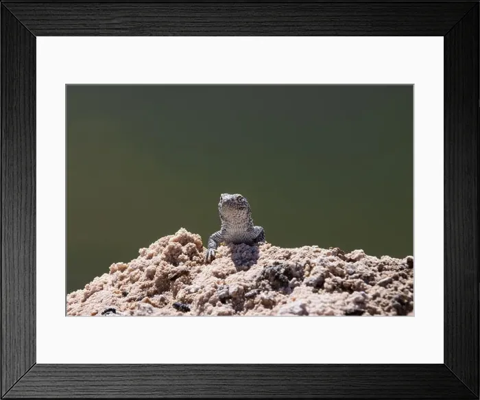 Framed Print : 2yt8kha Framed Print : 2yt8kha