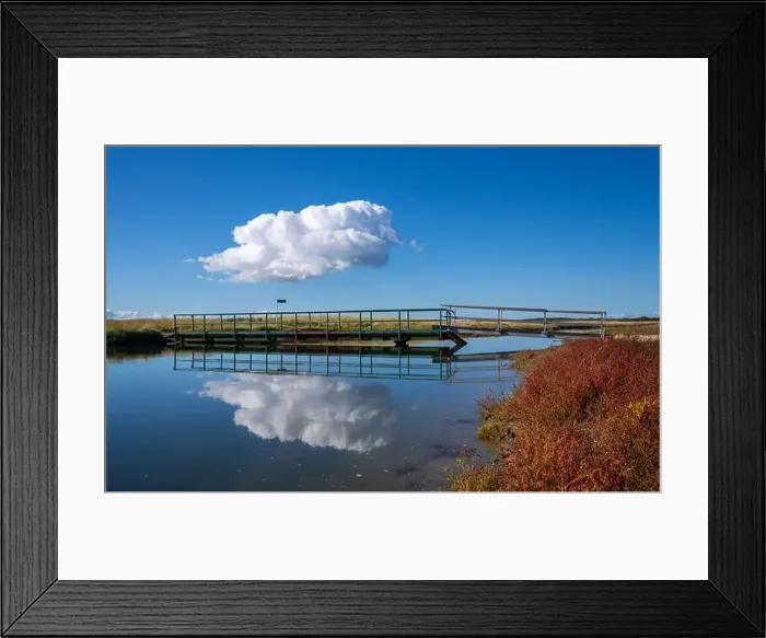 Framed Print : 2ytc4xf Framed Print : 2ytc4xf