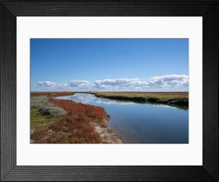 Framed Print : 2ytc4xr Framed Print : 2ytc4xr