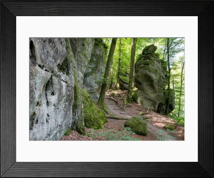 Framed Print : 2ytc501 Framed Print : 2ytc501