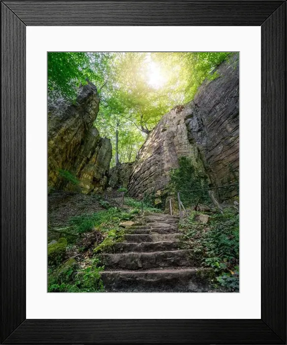 Framed Print : 2ytc503 Framed Print : 2ytc503