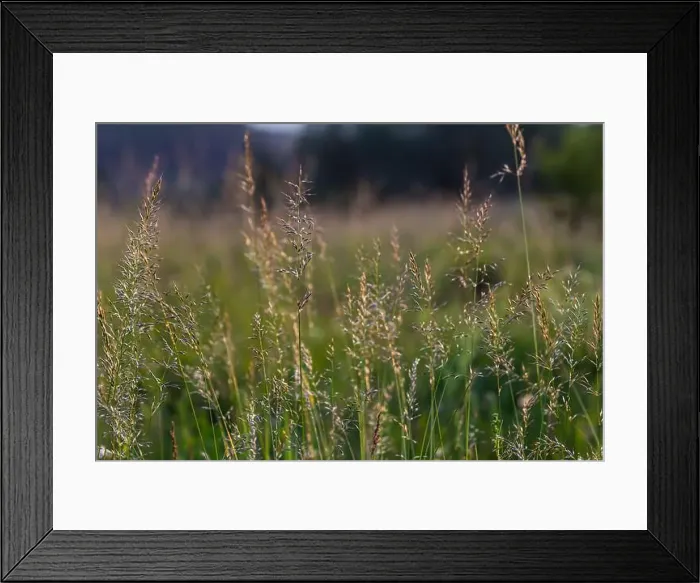 Framed Print : 2ytd9ng Framed Print : 2ytd9ng
