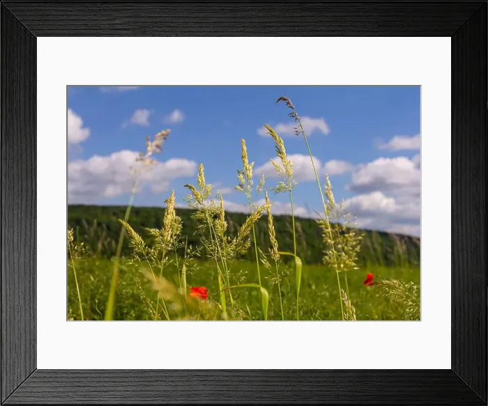 Framed Print : 2ytda34 Framed Print : 2ytda34