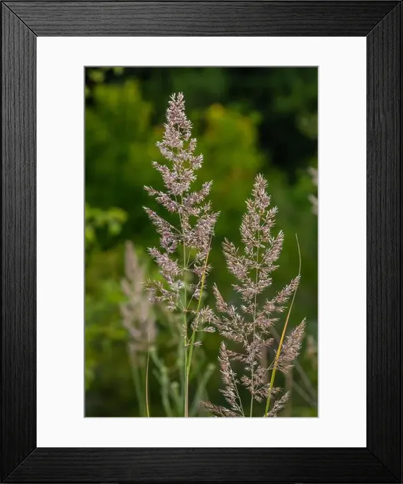 Framed Print : 2ytdbwb Framed Print : 2ytdbwb