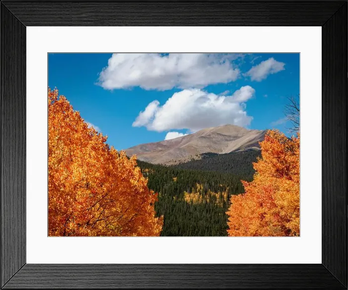 Framed Print : 2ytjae9 Framed Print : 2ytjae9