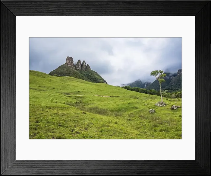 Framed Print : 2ytjn57 Framed Print : 2ytjn57