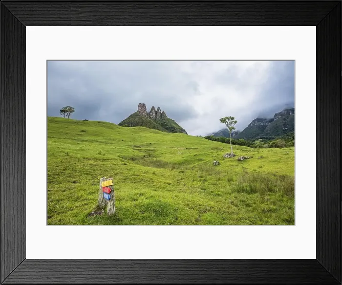 Framed Print : 2ytjn5r Framed Print : 2ytjn5r