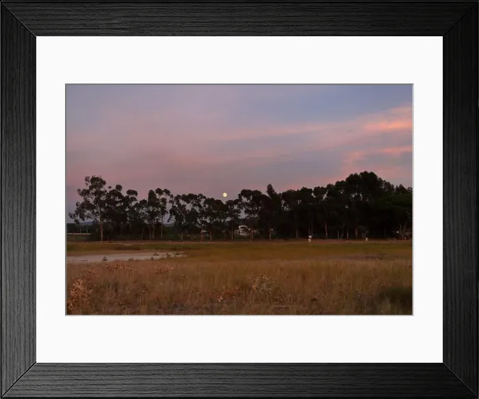 Framed Print : 2ytkpyb Framed Print : 2ytkpyb
