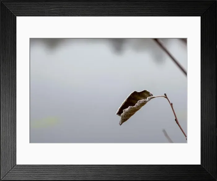 Framed Print : 2ytrwtb Framed Print : 2ytrwtb