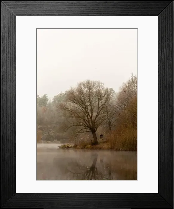 Framed Print : 2ytrwx8 Framed Print : 2ytrwx8