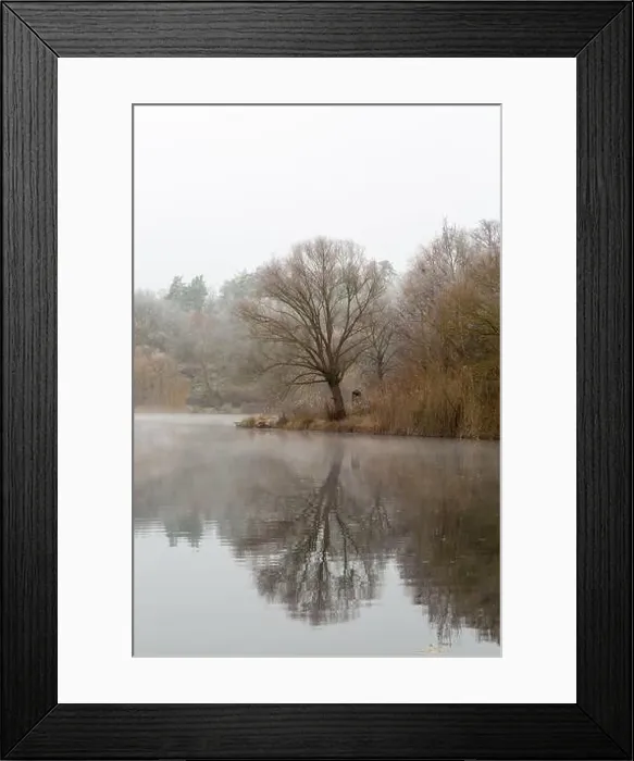 Framed Print : 2ytrxak Framed Print : 2ytrxak