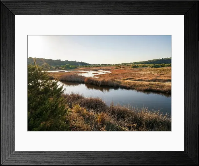Framed Print : 2yty6t4 Framed Print : 2yty6t4