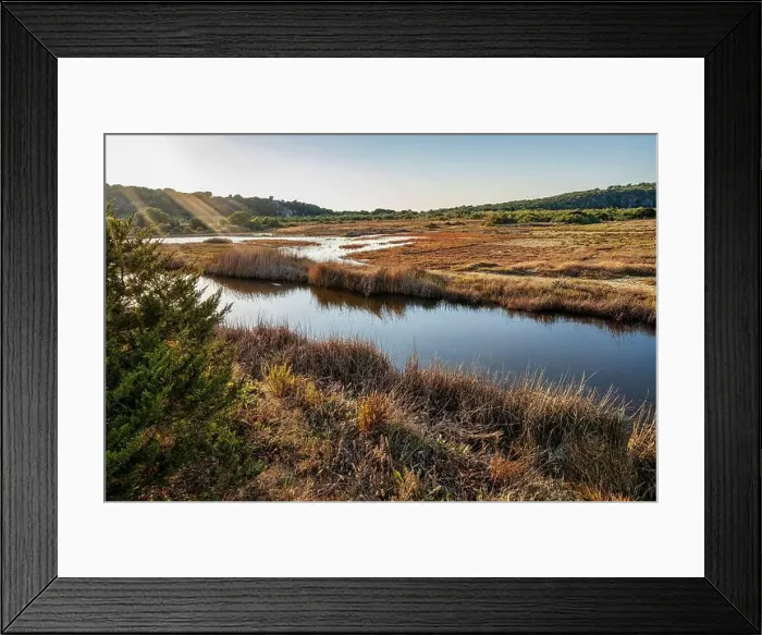 Framed Print : 2yty71k Framed Print : 2yty71k