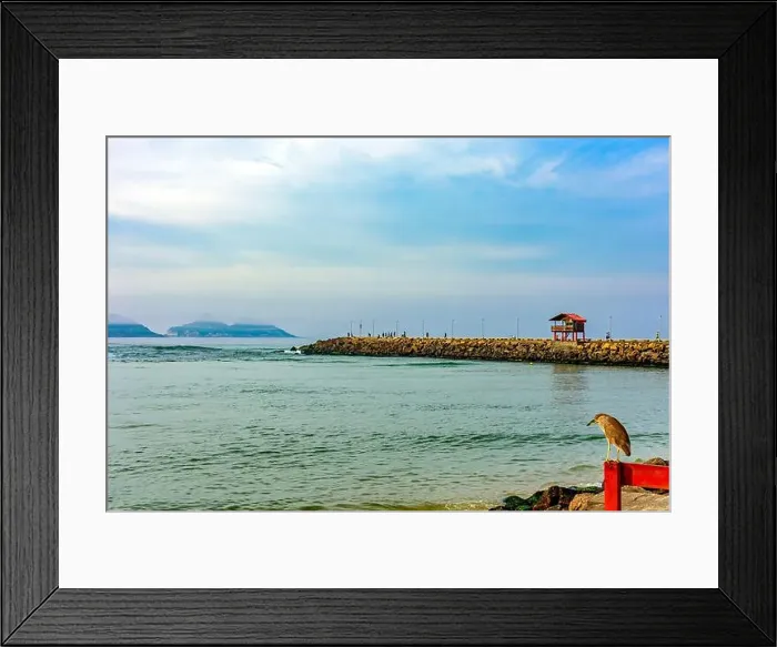 Framed Print : 2yw1ax7 Framed Print : 2yw1ax7