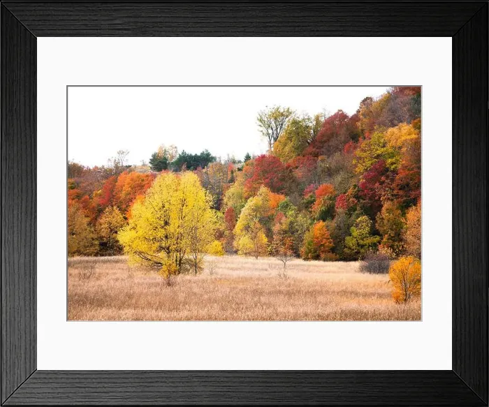 Framed Print : 2yw1egh Framed Print : 2yw1egh