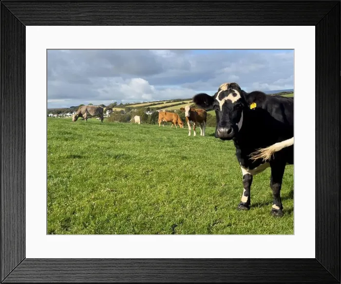 Framed Print : 2yw5mm2