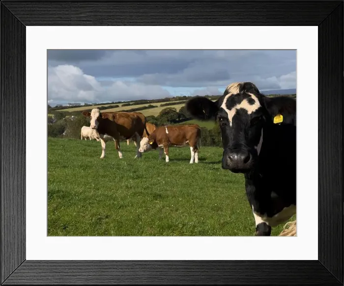 Framed Print : 2yw5mm7 Framed Print : 2yw5mm7