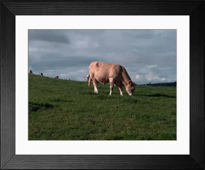 Framed Print : 2yw5mm8
