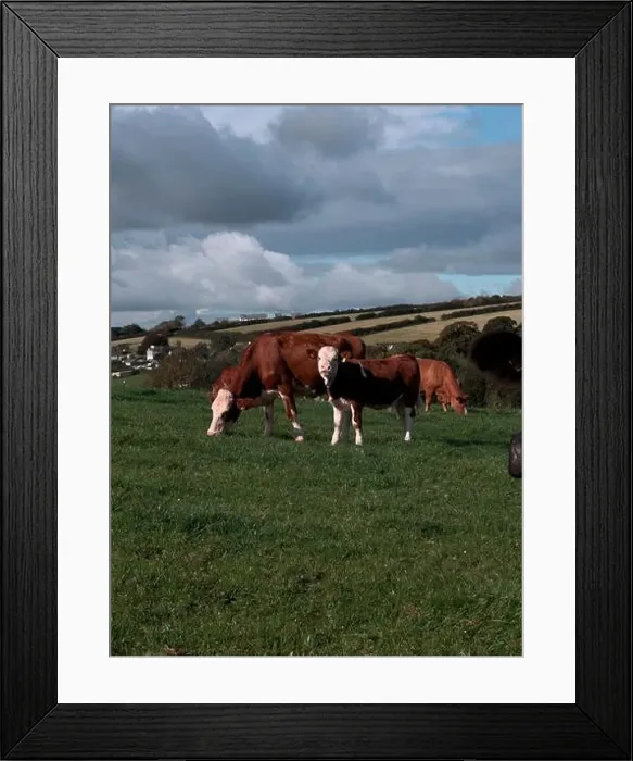 Framed Print : 2yw5mn4 Framed Print : 2yw5mn4