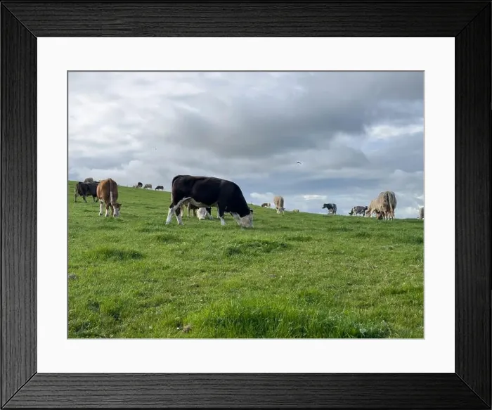 Framed Print : 2yw5mtt Framed Print : 2yw5mtt