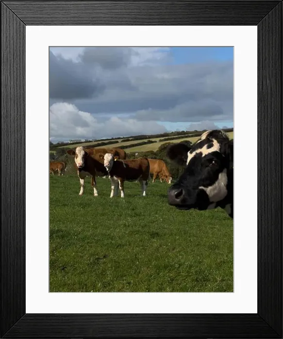 Framed Print : 2yw5mwf Framed Print : 2yw5mwf