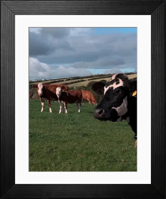 Framed Print : 2yw5mwh Framed Print : 2yw5mwh