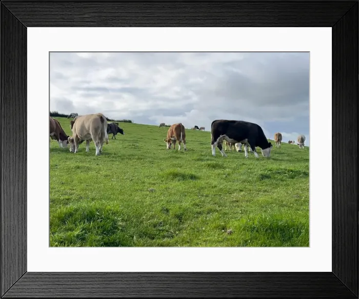 Framed Print : 2yw5mwr