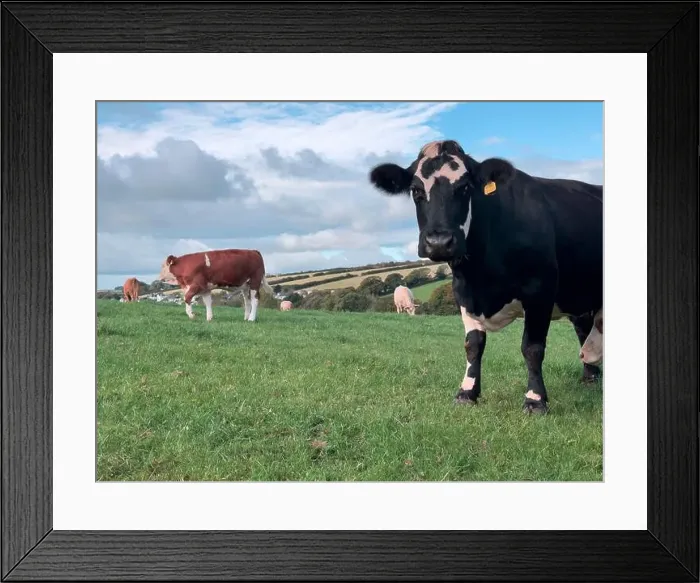 Framed Print : 2yw5n1a