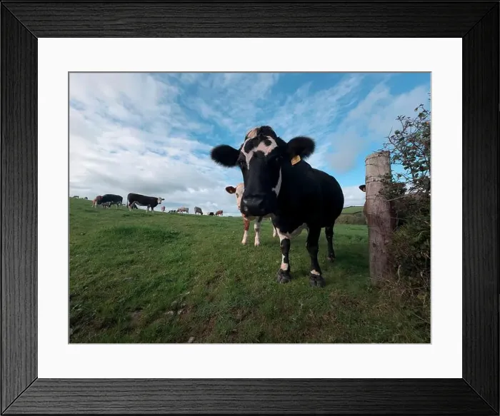Framed Print : 2yw5n3m