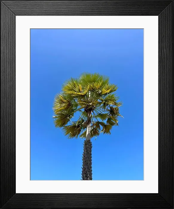 Framed Print : 2yw7hwa Framed Print : 2yw7hwa
