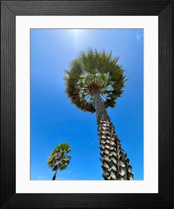 Framed Print : 2yw7hwd Framed Print : 2yw7hwd