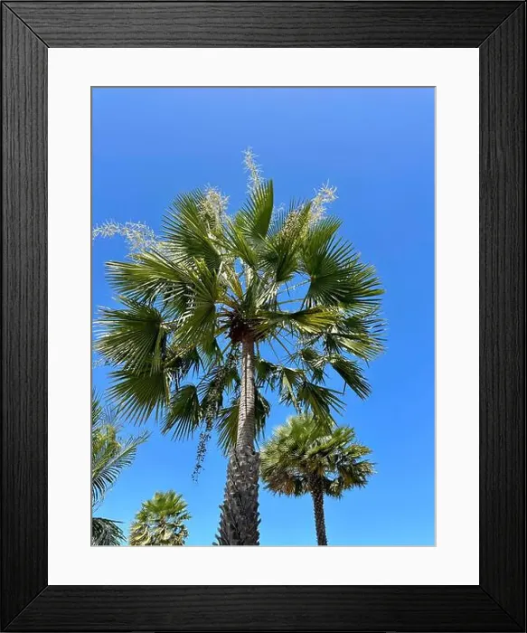 Framed Print : 2yw7hwg Framed Print : 2yw7hwg