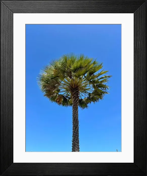 Framed Print : 2yw7hwk Framed Print : 2yw7hwk