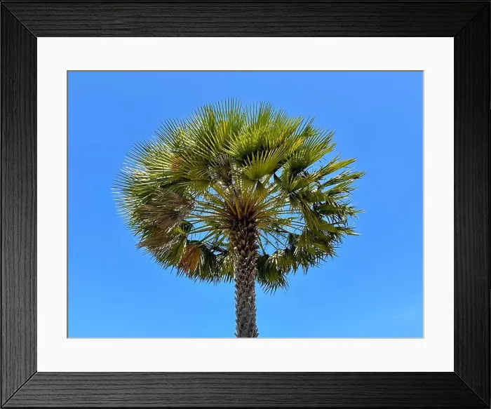 Framed Print : 2yw7hwn Framed Print : 2yw7hwn