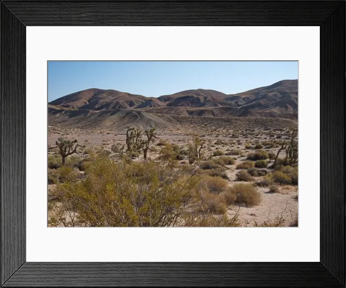 Framed Print : 2yw804a