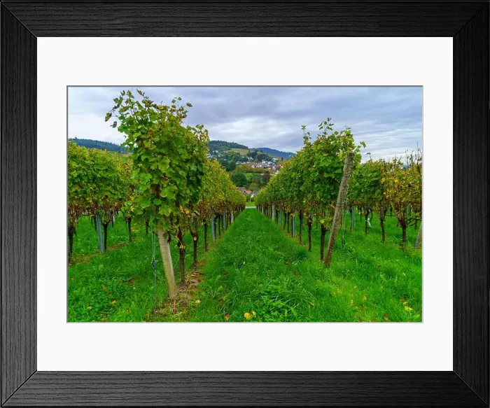Framed Print : 2yw8de7 Framed Print : 2yw8de7