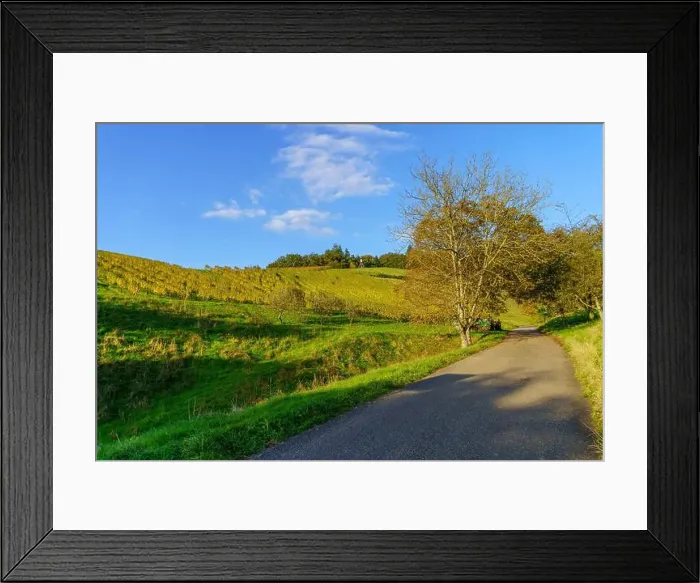 Framed Print : 2yw8dee Framed Print : 2yw8dee