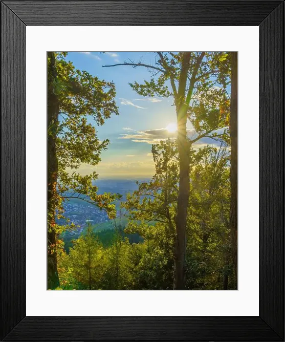 Framed Print : 2yw8df6 Framed Print : 2yw8df6
