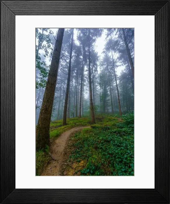 Framed Print : 2yw8dmc Framed Print : 2yw8dmc