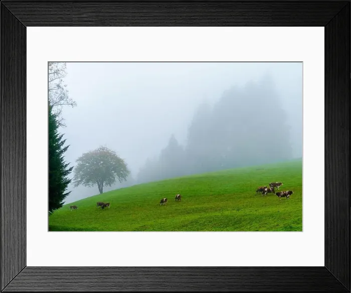 Framed Print : 2yw8dmd Framed Print : 2yw8dmd